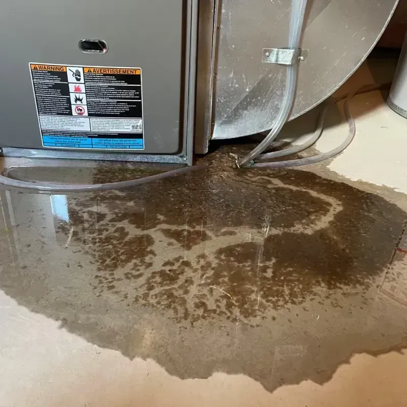 Appliance Leak Cleanup in Greendale, WI